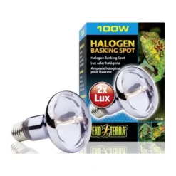 Exo Sun Glo Lampe Halogène 100w - Exo Terra