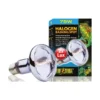 Exo Sun Glo Lampe Halogène 75w - Exo Terra -Promos Naturalis Pets Boutique exo sun glo lampe halogene 75w exo terra 33 pt2182 exo terra exo sun glo lampe halogene 75w exo terra