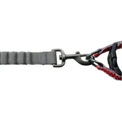 Flashlight Harnais Avec Laisse L-120x55-70cm/25mm - Duvo+ -Promos Naturalis Pets Boutique flashlight harnais avec laisse l 120x55 70cm 25mm duvo 11807 duvo specifications lumiere led 3 options sur la poitrine laisse qu 2