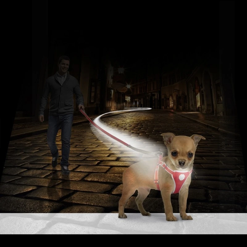 Flashlight Harnais Avec Laisse S-120x35-45cm/15mm - Duvo+ 4 Flashlight Harnais Avec Laisse S-120x35-45cm/15mm - Duvo+ – Image 2