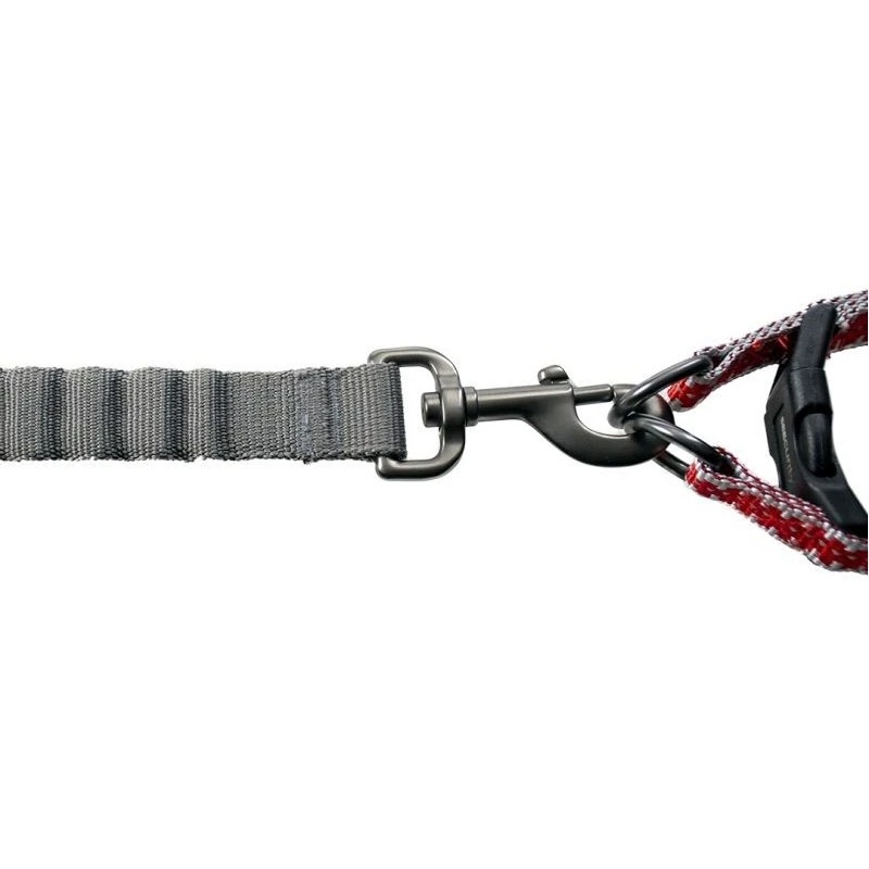 Flashlight Harnais Avec Laisse S-120x35-45cm/15mm - Duvo+ 5 Flashlight Harnais Avec Laisse S-120x35-45cm/15mm - Duvo+ – Image 3