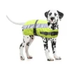 Flectacoat Manteau Pour Chien Jaune 50cm - Duvo+ 2 Flectacoat Manteau Pour Chien Jaune 50cm - Duvo+ -Promos Naturalis Pets Boutique flectacoat manteau pour chien jaune 50cm duvo 4195706 duvo specifications manteau a isolation thermique flectalonr un materiau i