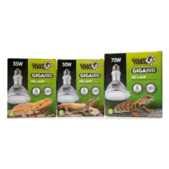 GIGAHID Lampes HID 35w - Giganterra