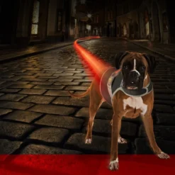 Gilet De Sécurité Fluo Flash USB Noir Large - Duvo+ -Promos Naturalis Pets Boutique gilet de securite fluo flash usb noir large duvo 11301 duvo specifications reflechissant et lumineux facile a mettre grace au ve 1