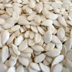 Graines De Citrouille 25KG - Duvo -Promos Naturalis Pets Boutique graines de citrouille 25kg duvo 364 duvo graines de citrouille 25kg duvo 1