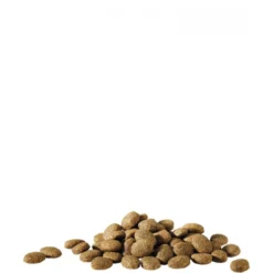 Happy Life Essential 20kg - Croquettes De Base Pour Chiens Adultes 5 Happy Life Essential 20kg - Croquettes De Base Pour Chiens Adultes -Promos Naturalis Pets Boutique happy life essential 20kg croquettes de base pour chiens adultes 431205 versele laga aliment complet et equilibre pour chiens ad 1
