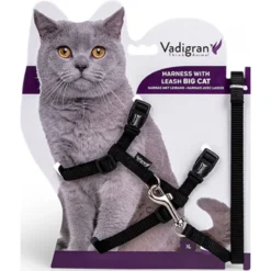 Harnais+Laisse Grand Chat Noir 34/57cm+120cm - Vadigran