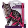 Harnais+Laisse Pois Fuchsia 15-22/30-32cm+120cm - Vadigran -Promos Naturalis Pets Boutique harnais laisse pois fuchsia 15 22 30 32cm 120cm vadigran 16601 vadigran harnais laisse pois fuchsia 15 22 30 32cm 120cm vadigran