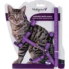 Harnais+Laisse Pois Mauve 15-22/30-32cm+120cm - Vadigran -Promos Naturalis Pets Boutique harnais laisse pois mauve 15 22 30 32cm 120cm vadigran 16602 vadigran harnais laisse pois mauve 15 22 30 32cm 120cm vadigran