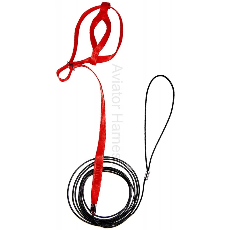 Harnais Pour Perroquet AVIATOR X-Small Rouge 4 Harnais Pour Perroquet AVIATOR X-Small Rouge – Image 2