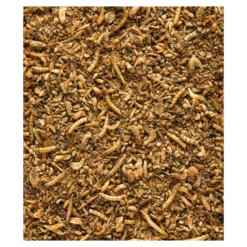 Insect Patée Premium Aliment Complet Pour Oiseaux Insectivores 500gr - Nutribird -Promos Naturalis Pets Boutique insect patee premium aliment complet pour oiseaux insectivores 500gr nutribird 422152 nutribird aliment complet pour tous les in 1