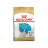 Jack Russell Terrier Puppy 1,5kg - Royal Canin -Promos Naturalis Pets Boutique jack russell terrier puppy 15kg royal canin 1238082 royal canin aliment complet pour chiens specialement pour chiot jack russell