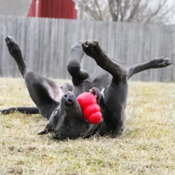 Kong Classic Rouge XXL - Kong -Promos Naturalis Pets Boutique kong classic rouge xxl kong 74012005 kong specifications disponible en six tailles xs s m l xl et xxl un jouet stimulant intelle 3