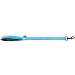Laisse Nylon Double 25mm-60cm Turquoise - Martin Sellier