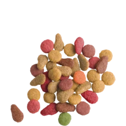 Lara Adult With Salmon 10kg - Croquettes Délicieuses Au Saumon - Chats Adultes -Promos Naturalis Pets Boutique lara adult with salmon 10kg croquettes delicieuses au saumon chats adultes 441063 versele laga croquettes delicieuses au saumon 1 1