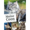 Maine Coon Comportements, Soins, Socialisation - Florence DESACHY & Phillippe ROCHER -Promos Naturalis Pets Boutique maine coon comportements soins socialisation florence desachy phillippe rocher 9221057 ulmer maine cooncomportements soins socia