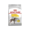 Maxi DermaComfort 3kg - Royal Canin -Promos Naturalis Pets Boutique maxi dermacomfort 3kg royal canin 1235203 royal canin aliment complet pour chiens adultes et matures de grandes races de 26 a 44