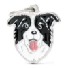 Médaille Chien Border Collie -Promos Naturalis Pets Boutique medaille chien border collie mf03n my family