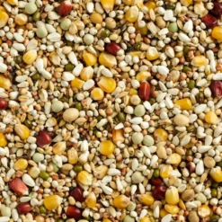 Mélange Finesse Sport 20kg - Natural -Promos Naturalis Pets Boutique melange finesse sport 20kg natural 105377720 natural natural finesse sport un incontournable pendant la saison sportive melange 1 1