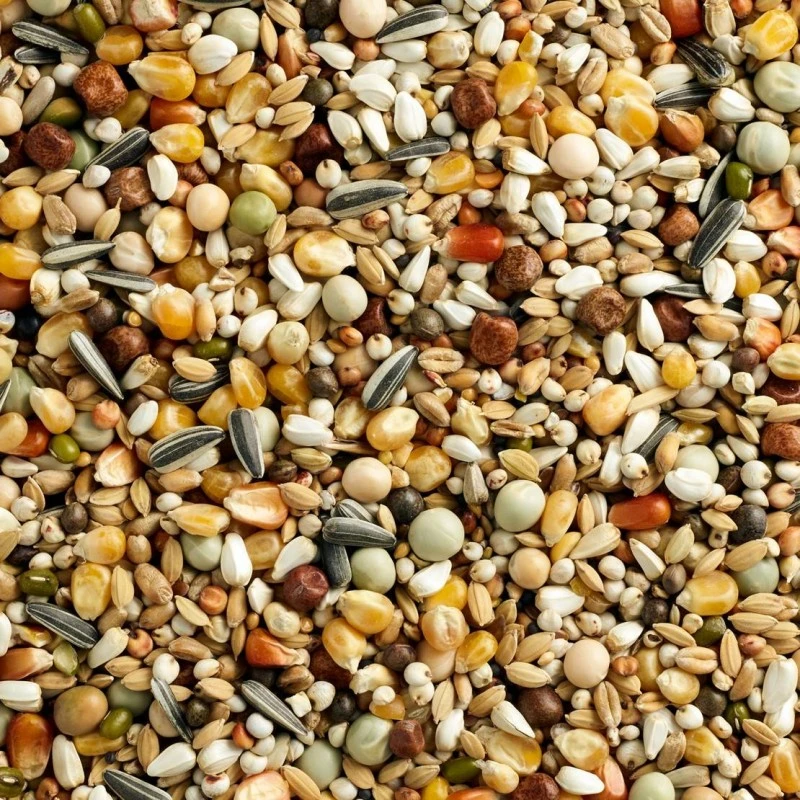 Mélange Maxi Digest-1 3M Popcorn 25kg - Natural 4 Mélange Maxi Digest-1 3M Popcorn 25kg - Natural – Image 2