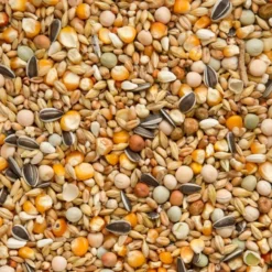 Mélange Repos / Hiver 25kg - Beyers -Promos Naturalis Pets Boutique melange repos hiver 25kg beyers 004439 beyers beyers melange repos hivermelange de base pour pigeons en periode hivernale contie 1