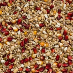 Mélanges Bordeaux Premium Enzymix Power 25kg - Beyers -Promos Naturalis Pets Boutique melanges bordeaux premium enzymix power 25kg beyers 004510 beyers beyers melanges bordeaux premium enzymix power melange sport r 1