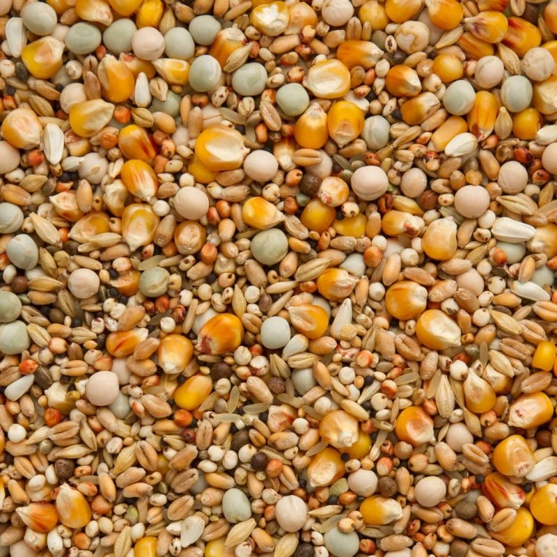 Mue Méthionine Actif 25kg - Beyers 4 Mue Méthionine Actif 25kg - Beyers – Image 2