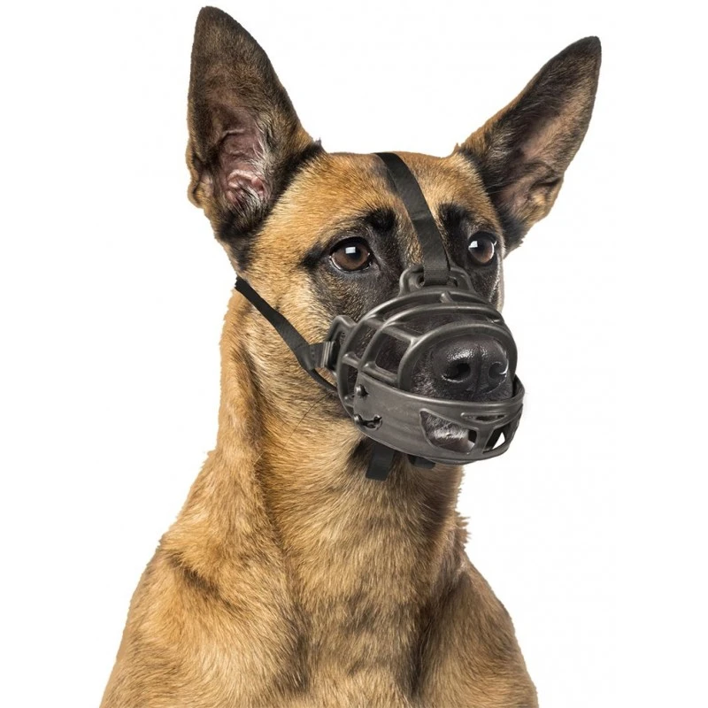 Muselière Caoutchouc Noir/Rouge Medium - Duvo+ 4 Muselière Caoutchouc Noir/Rouge Medium - Duvo+ – Image 2