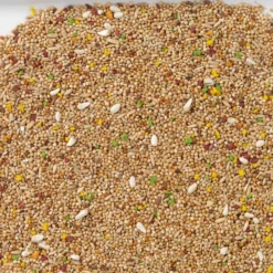N°11 Perruches Colormix 20kg - Deli Nature -Promos Naturalis Pets Boutique n11 perruches colormix 20kg deli nature 006411 deli nature est un melange de base standard enrichi de morceaux de biscuits aux f 1