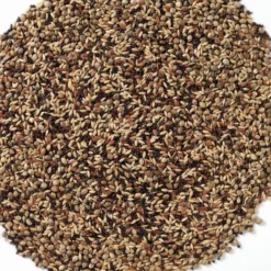 N°48 Tarins & Chardonnerets 20kg - Deli Nature -Promos Naturalis Pets Boutique n48 tarins chardonnerets 20kg deli nature 006548 deli nature est un melange contenant une fraction elevee de graines noires grai 1