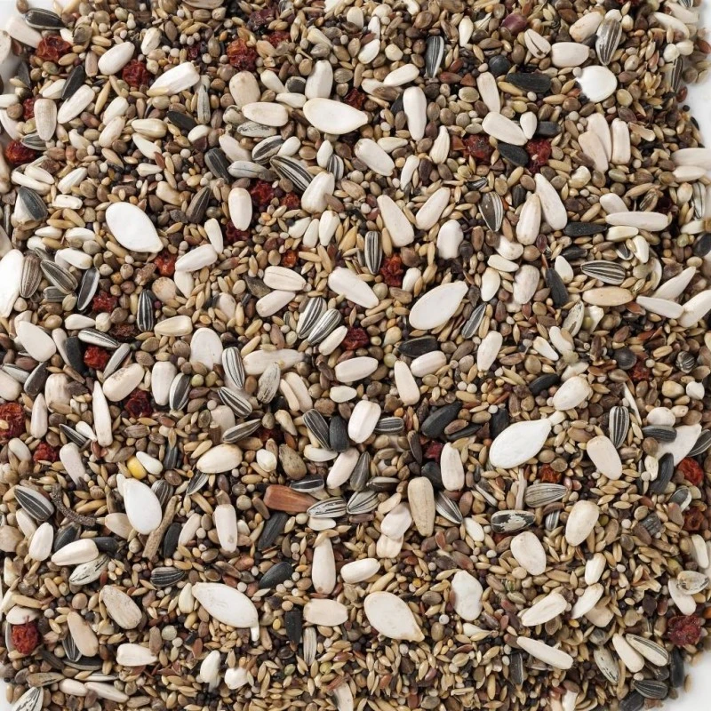 N°90 Durbecs Des Sapins Et Becs-Croisés 15kg - Deli Nature 4 N°90 Durbecs Des Sapins Et Becs-Croisés 15kg - Deli Nature – Image 2