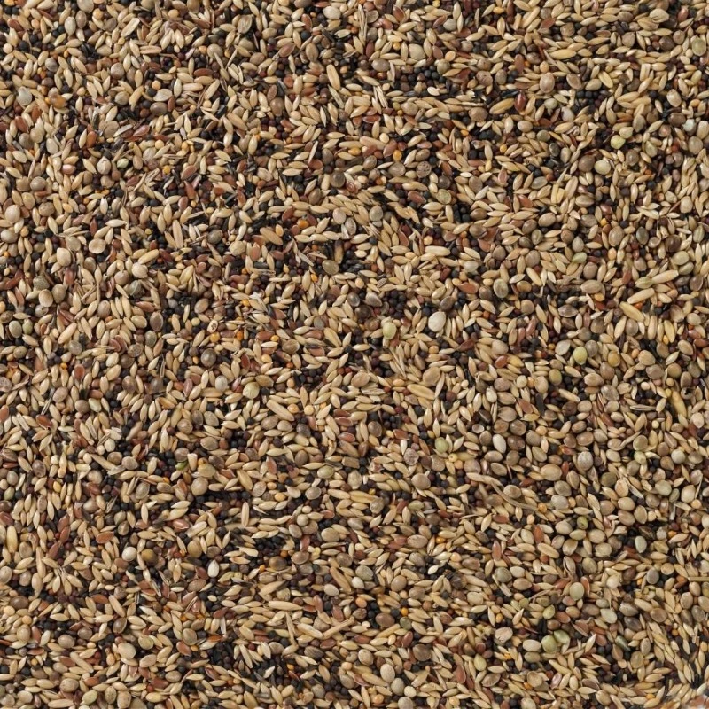 N°91 Oiseaux Indigènes 20kg - Deli Nature 4 N°91 Oiseaux Indigènes 20kg - Deli Nature – Image 2