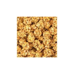 Nutri-Berries Classic Perroquet 1,47kg - Lafeber's -Promos Naturalis Pets Boutique nutri berries classic perroquet 147kg lafebers lf31652 lafebers les nutri berries pour perroquets ont ete developpes pour combin 1