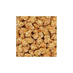 Nutri-Berries Tropical Fruit Cockatiel 284gr - Lafeber's -Promos Naturalis Pets Boutique nutri berries tropical fruit cockatiel 284gr lafebers lf32640 lafebers lafeber nutri berries fruit tropical pour grandes perruch 1