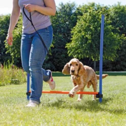 Obstacle Agility 123x115cm - Trixie -Promos Naturalis Pets Boutique obstacle agility 123x115cm trixie 3207 trixie hauteur reglable en continu la barre peut aussi etre posee librement sur les potea 2