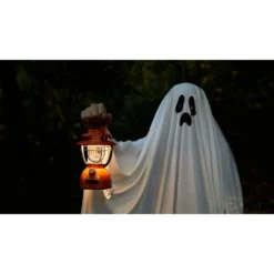 Olight Olantern Classic 2 Pro - Lanterne Classique Rechargeable Pour Bivouac -Promos Naturalis Pets Boutique olight olantern classic 2 pro lanterne classique rechargeable pour bivouac olantern clas 2 pro olight olight olantern classic 2 1 1