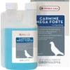 Oropharma Carmine Mega Forte 250ml - Préparation Liquide De Carnitine Enrichie De Choline -Promos Naturalis Pets Boutique oropharma carmine mega forte 250ml preparation liquide de carnitine enrichie de choline 460079 versele laga preparation de l car