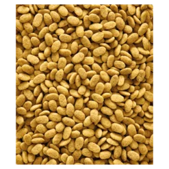 P15 Original Granulés Extrudés - Aliment D'entretien Pour Perroquets 3kg - Nutribird -Promos Naturalis Pets Boutique p15 original granules extrudes aliment dentretien pour perroquets 3kg nutribird 422126 nutribird granules extrudes aliment dentr 1