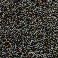 Pavot Bleu Extra 25kg - Duvo -Promos Naturalis Pets Boutique pavot bleu extra 25kg duvo 595 duvo pavot bleu extra 25kg duvo 1