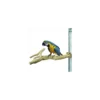 Perchoir Java Multi Perchoirs Premium 45-70cm Extra Large - Back Zoo Nature -Promos Naturalis Pets Boutique perchoir java multi perchoirs premium 45 70cm extra large back zoo nature zf1007 back zoo nature multi perch premium x largele m