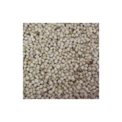 Deli Nature Perilla Blanc Au Kg - Ornibird -Promos Naturalis Pets Boutique perilla blanc au kg ornibird 003736 kg deli nature les graines de perilla contiennent environ 25 de lipides dont 65 dacide alpha 3