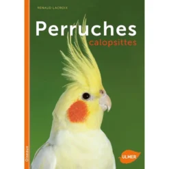 Perruches Calopsittes - Renaud LACROIX