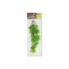 Plantes Suspendues N°4 70cm - Giganterra 2 Plantes Suspendues N°4 70cm - Giganterra -Promos Naturalis Pets Boutique plantes suspendues n4 70cm giganterra g04 00263 giganterra plantes suspendues n4 70cm giganterra les plantes artificielles suspe