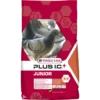 Plus I.C.⁺ Junior 20kg - Mélange Complet Pour Jeunes Pigeons -Promos Naturalis Pets Boutique plus ic junior 20kg melange complet pour jeunes pigeons 411033 versele laga melange complet pour jeunes pigeons aliment complet