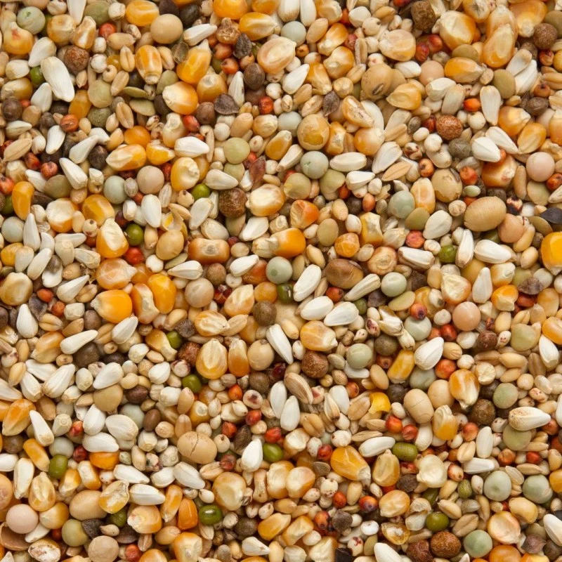 Premium Jan Keen Superlight 20kg - Beyers 4 Premium Jan Keen Superlight 20kg - Beyers – Image 2