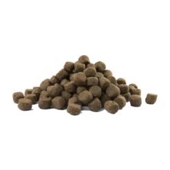 Prime Adult All Breeds Sans Céréales Au Saumon 12,5kg - Opti Life -Promos Naturalis Pets Boutique prime adult all breeds sans cereales au saumon 125kg opti life 433069 opti life nourriture pour chiens sans cereales saumon tout 1