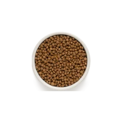 Puppy - Agneau Et Dinde 3kg - Grandorf -Promos Naturalis Pets Boutique puppy agneau et dinde 3kg grandorf gddd0103 grandorf pour les chiots ages de 3 semaines ou plus les chiennes enceintes et allait 1