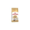Ragdoll 2kg - Royal Canin -Promos Naturalis Pets Boutique ragdoll 2kg royal canin 1250937 royal canin ragdoll 2kg royal canin