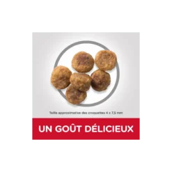 Science Plan Aliment Pour Chien Adulte Small & Mini à L'agneau Et Au Riz 6kg - Hill's -Promos Naturalis Pets Boutique science plan aliment pour chien adulte small mini a lagneau et au riz 6kg hills 604319 hills science plan aliment pour chien adu 1