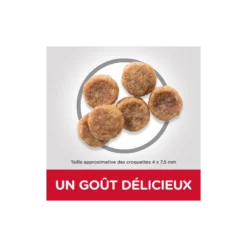 Science Plan Aliment Pour Chien Adulte Small & Mini Au Poulet 3kg - Hill's -Promos Naturalis Pets Boutique science plan aliment pour chien adulte small mini au poulet 3kg hills 604344 hills science plan aliment pour chien adulte small 1 1